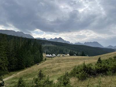 IMG_9239.jpg