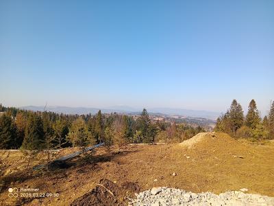 IMG_20250322_093013_517.jpg