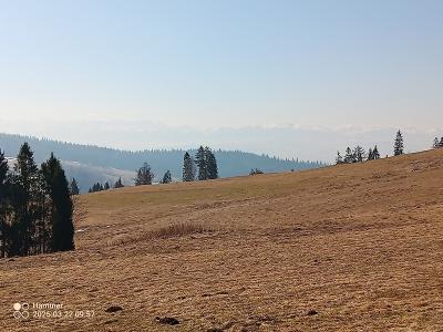 IMG_20250322_095747_399.jpg