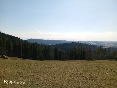 IMG_20250322_133812_365.jpg
