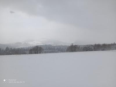 IMG_20250406_092535_558.jpg