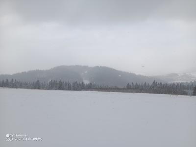 IMG_20250406_092538_935.jpg