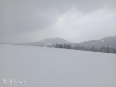IMG_20250406_092540_792.jpg