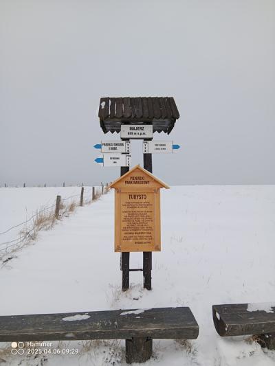 IMG_20250406_092955_349.jpg