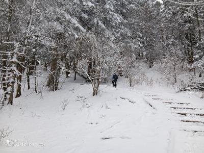 IMG_20250406_113000_241.jpg