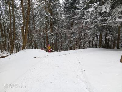 IMG_20250406_113015_414.jpg