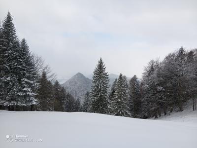 IMG_20250406_113939_428.jpg