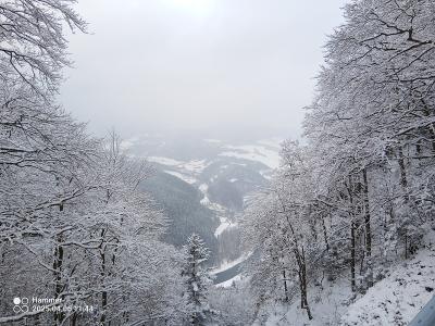 IMG_20250406_114427_920.jpg