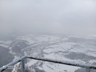 IMG_20250406_114921_076.jpg