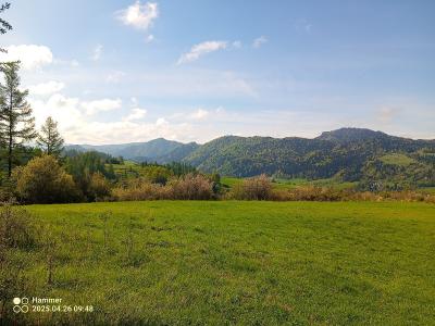 IMG_20250426_094840_493.jpg