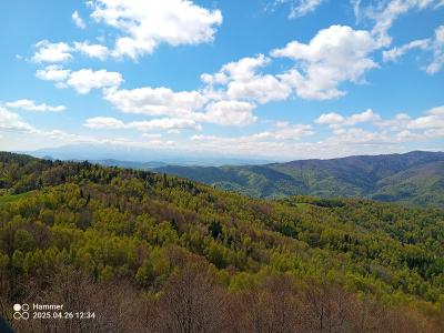 IMG_20250426_123403_618.jpg