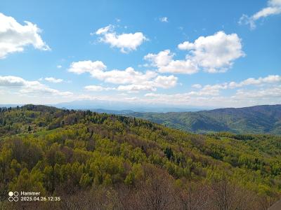 IMG_20250426_123534_579.jpg