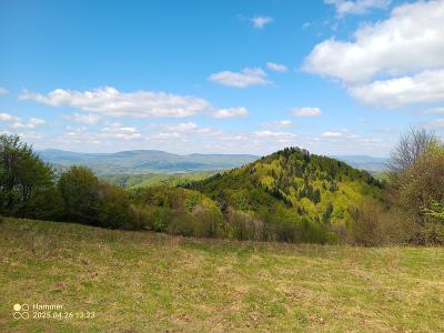 IMG_20250426_132321_762.jpg