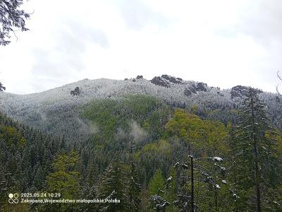 IMG_20250524_102955_709.jpg