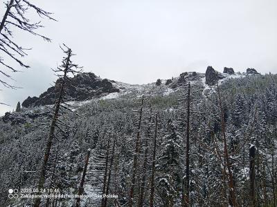 IMG_20250524_104606_334.jpg