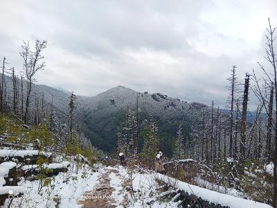 IMG_20250524_105316_405.jpg