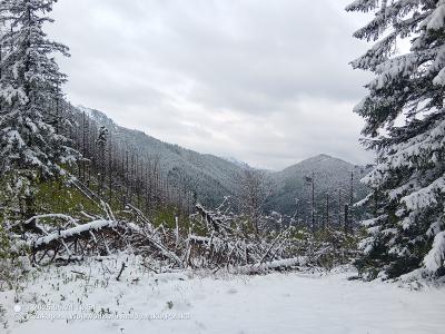 IMG_20250524_105423_635.jpg