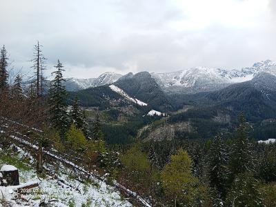 IMG_20250524_123752_499.jpg
