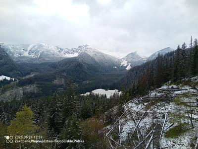 IMG_20250524_123758_779.jpg