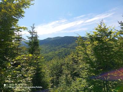 IMG_20250705_102948_178.jpg