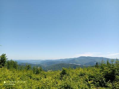 IMG_20250705_123900_048.jpg