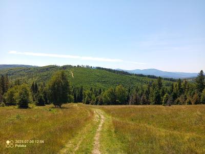 IMG_20250705_125636_054.jpg