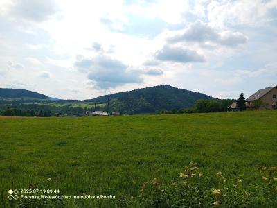 IMG_20250719_094458_837.jpg