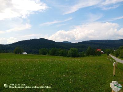 IMG_20250719_095315_420.jpg