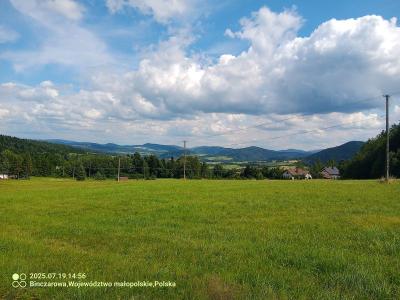 IMG_20250719_145656_781.jpg
