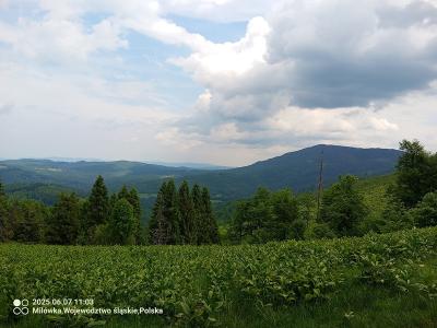 IMG_20250607_110303_282.jpg