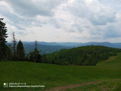 IMG_20250607_111320_598.jpg