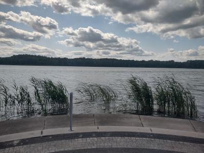 IMG_20250619_144240899_HDR.jpg