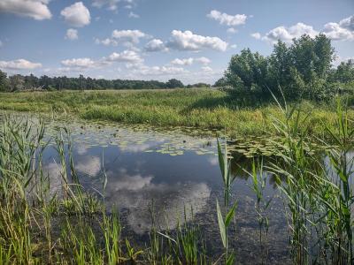 IMG_20250619_161051361_HDR.jpg