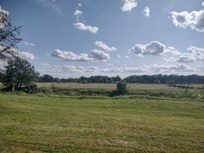 IMG_20250619_161240444_HDR.jpg