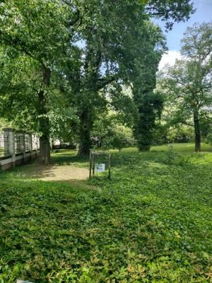 IMG_20250619_162413226_HDR.jpg
