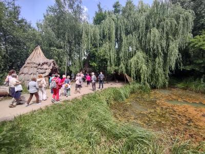 IMG_20250620_133612844_HDR.jpg