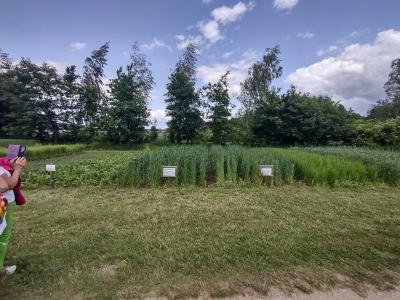 IMG_20250620_133959894_HDR.jpg