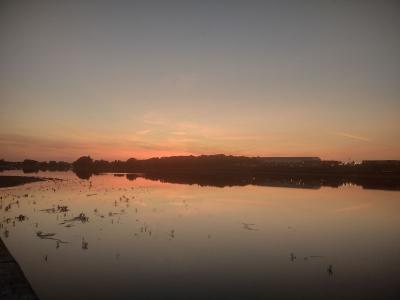 IMG_20250621_214355154_HDR.jpg